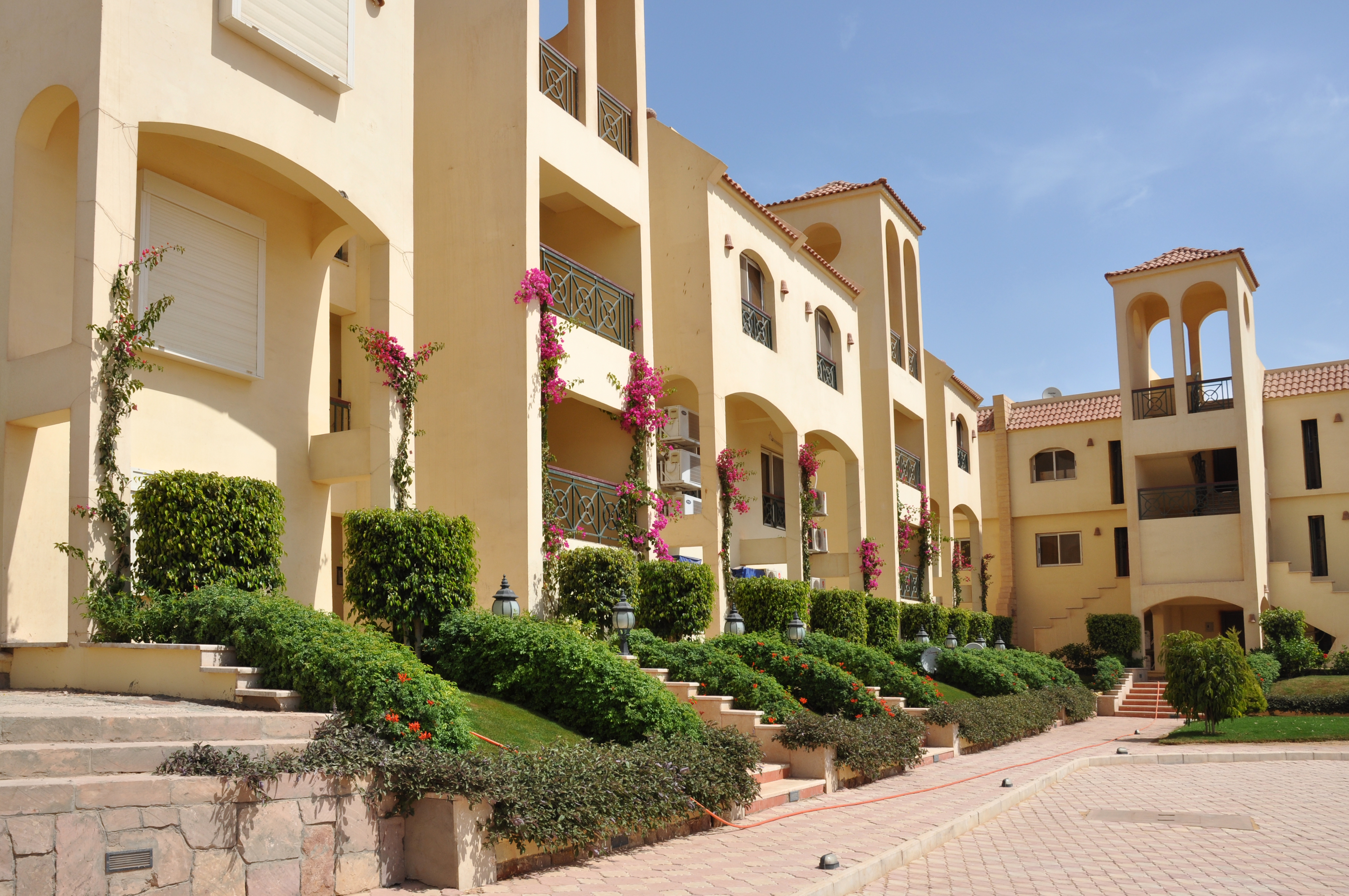 أريج - صورة 7